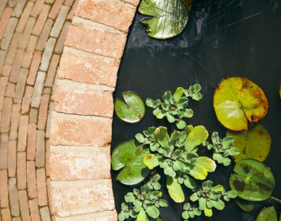 wildlife-friendly garden design