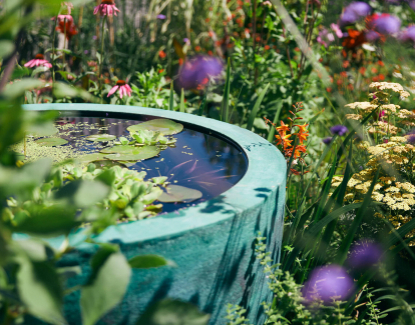 Rain Gardens & Drainage 1